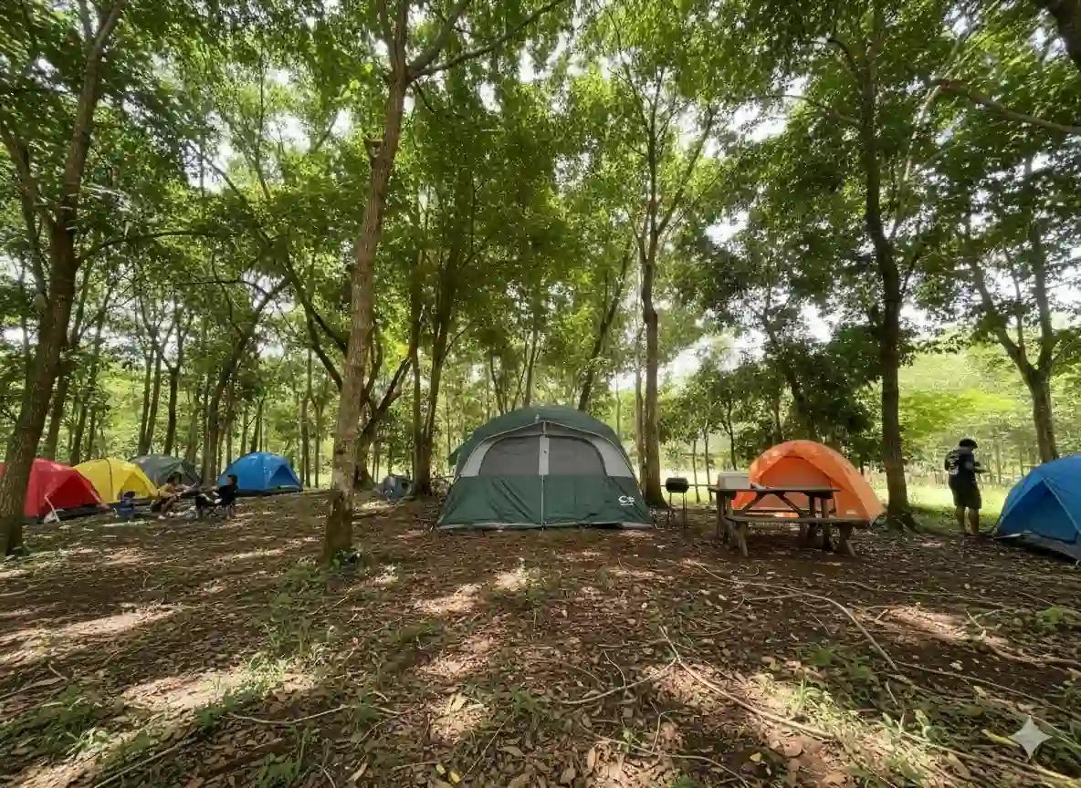 Tent Village - camping experience